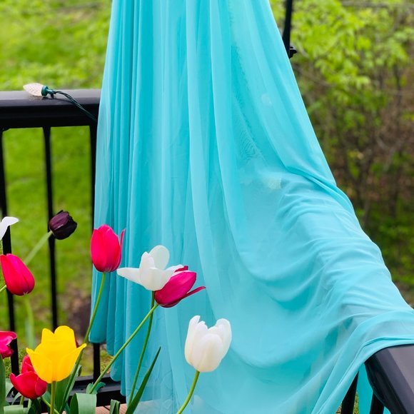 Size 2 Prom/Formal Dress - Picture 7 of 7